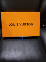 Louis Vuitton Felicie Pochette Shoulder bag