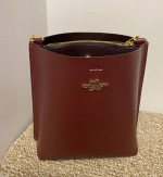 Coach Mollie Bucket Bag 22