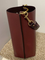 Coach Mollie Bucket Bag 22