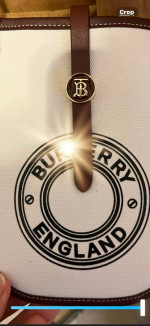 100-HRTT  New Phone Holder Bag Canvas & PU Leather Natural Logo Cross Bag Flap