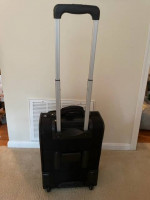 Delsey carry on bag