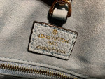 Louis Vuitton blue bag