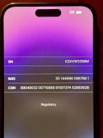 Apple iPhone 14 Pro Max - 1TB - Deep Purple (Factory Unlocked)