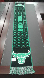 Chicago BULLS New Sga 2017 St. Patrick's Day Lucky Irish Green Scarf