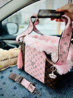 Luis Vuiton Pet Carrier