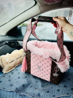 Luis Vuiton Pet Carrier