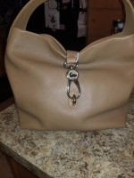 Backpack/purses