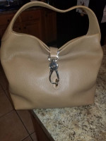 Backpack/purses