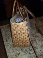 Backpack/purses