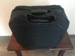 Bottega Veneta Leather Pilots case like new
