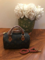 Louis Vuitton Purse