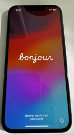 iPhone 13 Pro 1TB Alpine Green