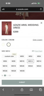 Wedding Dress (never worn or altered)