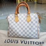 Auth Louis Vuitton Speedy Azur 25