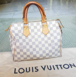 Auth Louis Vuitton Speedy Azur 25