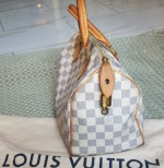 Auth Louis Vuitton Speedy Azur 25