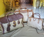 Rare vintage Gucci Travel boston luggage