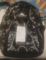 High Sierra Swerve Computer Backpack - Basically New