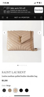 YSL bag