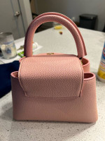 LouisVuitton Purse