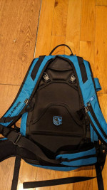 Dakine DLX Heli Pro - Ski/Snowboard Backpack