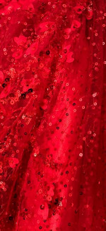 Quinceanera dress