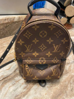 Louis Vuitton Palm Springs Mini Backpack