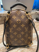 Louis Vuitton Palm Springs Mini Backpack