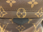 Louis Vuitton Palm Springs Mini Backpack