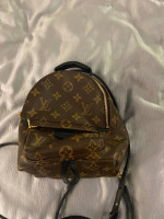 Louis Vuitton Palm Springs Mini Backpack