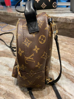 Louis Vuitton Palm Springs Mini Backpack