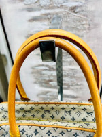 LOUIS VUITTON |  Mini Lin Marie Monogram