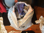 Lot of Women’s Clothes Gap/Mossimo
