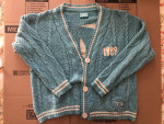 Taylor Swift 1989 cardigan