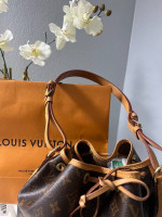 Authentic Louis Vuitton purse
