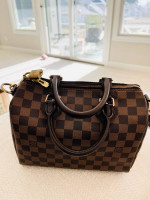 LV Speedy Bandoulière 25 Ebene
