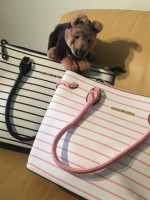 Handbags