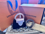 Pink Python, and Black leather mini Capucine Louis Vuitton