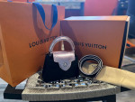 Pink Python, and Black leather mini Capucine Louis Vuitton
