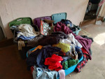 Moving sale lots of clothes and housewares fruit trees