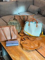 Guess and Steve Madden + Bags