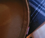 Louis Vuitton Cherry blossom Papillion