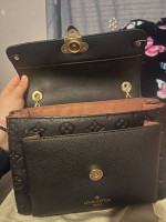 Louis Vuitton bag (BRAND NEW)