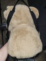 bear backpack
