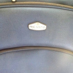 Ricardo Beverly Hills Luggage