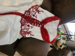 David's Bridal Wedding Dress