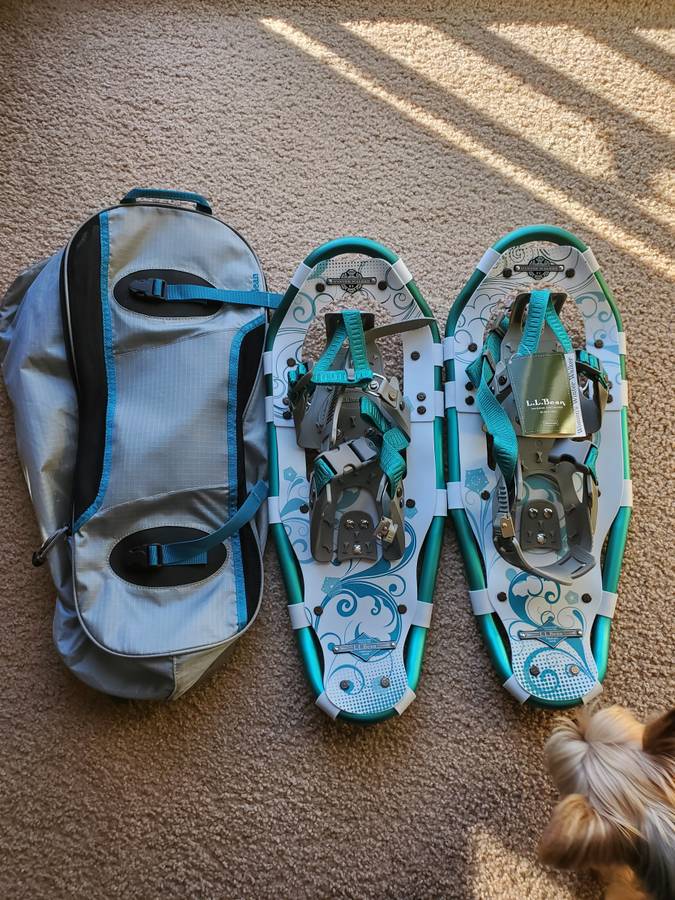 L.L. Bean snow shoes New