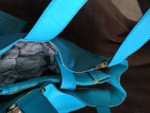 Kors - aqua blue purse