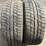 (2) BF Goodrich 205/55/16