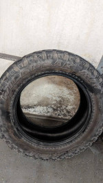 Falken wildpeak mt